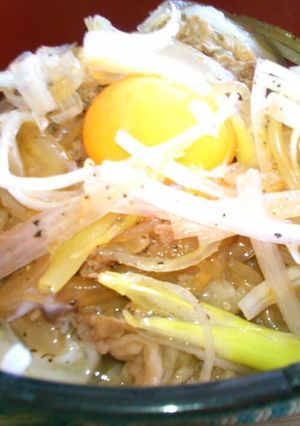 ピリ辛ネギのせ月見牛丼☆☆☆-レシピのメイン写真