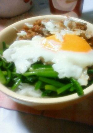 豚ミンチのコチジャン丼-レシピのメイン写真