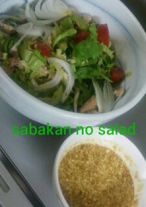 鯖缶のサラダ★-レシピのメイン写真