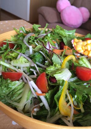 鮮やか新鮮生野菜サラダ-レシピのメイン写真