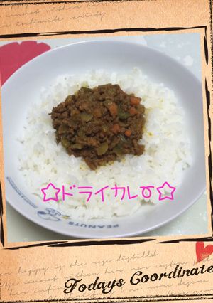 ☆ドライカレー☆-レシピのメイン写真