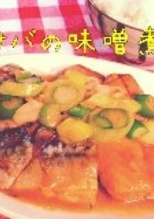 サバの味噌煮-レシピのメイン写真