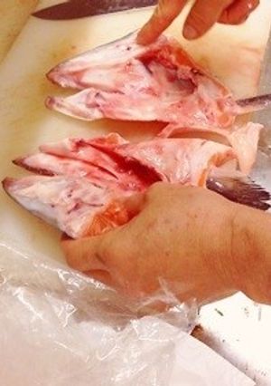 初心者OKマグロ漁師さん鮭頭簡単さばき方-レシピのメイン写真
