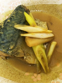 サバと長ネギの味噌煮-レシピのメイン写真