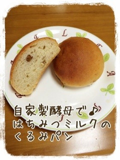 自家製酵母で♪はちみつミルクのくるみパン-レシピのメイン写真