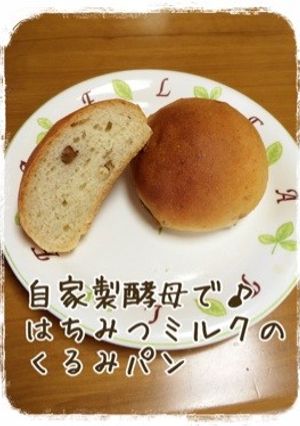 自家製酵母で♪はちみつミルクのくるみパン-レシピのメイン写真