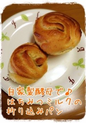 自家製酵母で♪はちみつミルクの折込パン-レシピのメイン写真