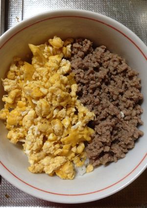 超簡単2色丼-レシピのメイン写真