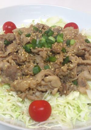 豚肉の生姜炒め-レシピのメイン写真