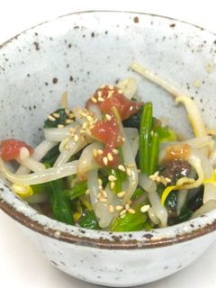ほうれん草ともやしの梅肉和え-レシピのメイン写真