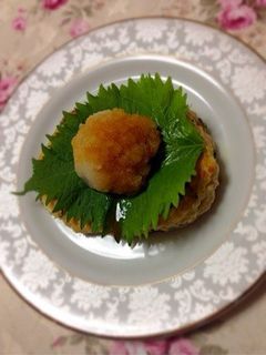 おろしそ豆腐ハンバーグ-レシピのメイン写真