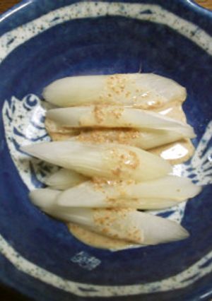 うどのゴマダレかけ-レシピのメイン写真
