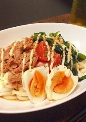 あるもので簡単サラダうどん☆-レシピのメイン写真