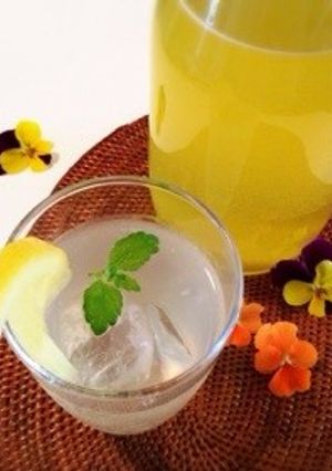 夏バテ対策に手作り酵素シロップ-レシピのメイン写真