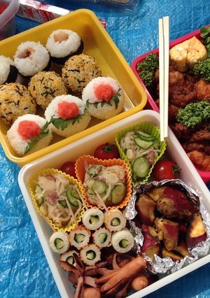 ピクニック弁当2014-レシピのメイン写真
