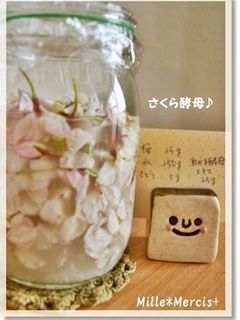 花薫る★桜花酵母-レシピのメイン写真