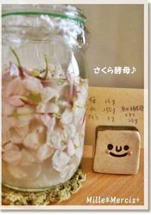 花薫る★桜花酵母-レシピのメイン写真