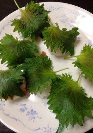 お子様向け レモン風味の握り寿司-レシピのメイン写真