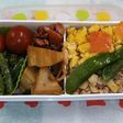 塩丸いかのそぼろ