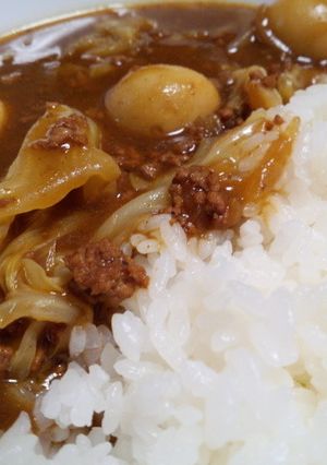 キャベツのカレー-レシピのメイン写真