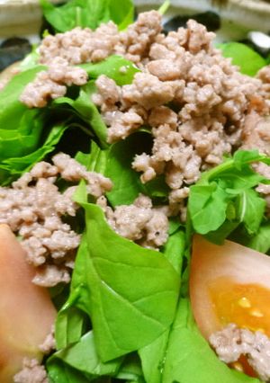 ルッコラとひき肉のサラダ-レシピのメイン写真
