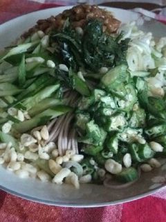 のっけ盛りぶっかけ蕎麦-レシピのメイン写真