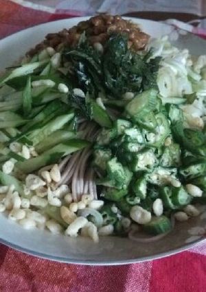 のっけ盛りぶっかけ蕎麦-レシピのメイン写真
