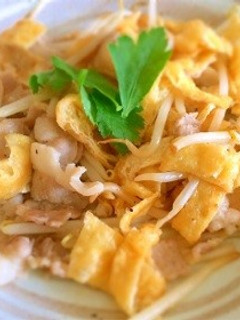 豚肉と油揚げのピリ辛炒め-レシピのメイン写真