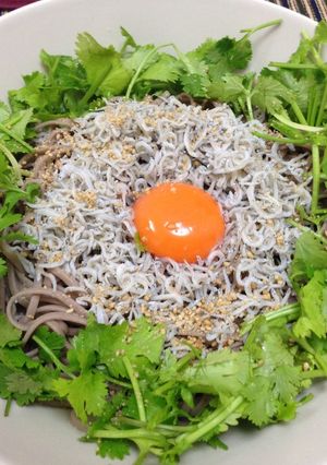 しらすとパクチーで、初夏の冷やかけ蕎麦-レシピのメイン写真