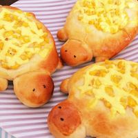 基本からアレンジまで！思わずつくりたくなる「カメさん」のレシピ集