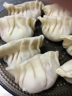 手作りの皮で手作り餃子-レシピのメイン写真