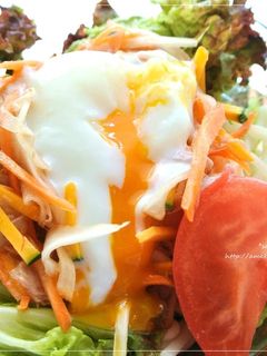 ヘルシーランチ♪エスニックサラダうどん♪-レシピのメイン写真