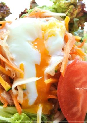 ヘルシーランチ♪エスニックサラダうどん♪-レシピのメイン写真