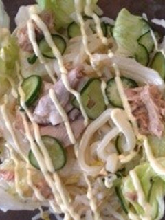 サラダうどん〜豚しゃぶリメイク-レシピのメイン写真
