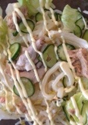 サラダうどん〜豚しゃぶリメイク-レシピのメイン写真