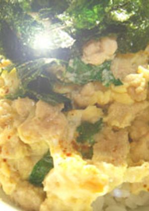 ひき肉親子丼-レシピのメイン写真