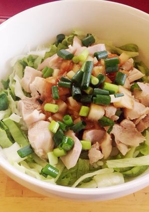 鳥肉のさっぱり丼-レシピのメイン写真
