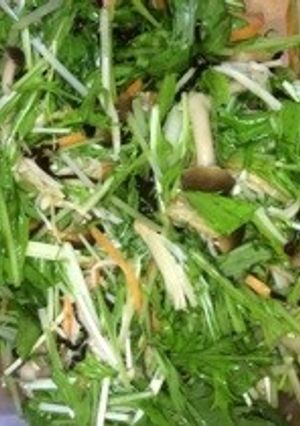 水菜で簡単に！-レシピのメイン写真