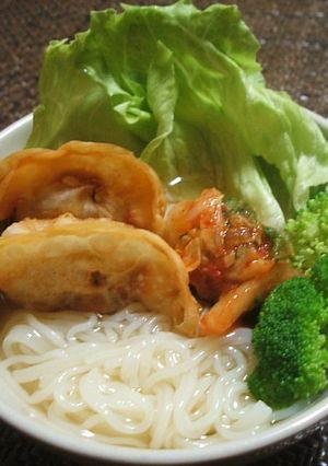 揚餃子が美味しい「徳山冷麺」-レシピのメイン写真