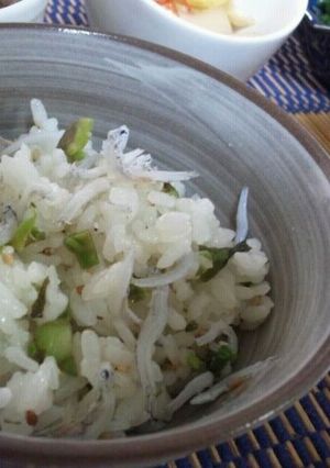 たらの芽の菜飯-レシピのメイン写真