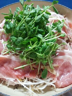 豚肉の薄切り・もやし・豆苗の蒸しなべ -レシピのメイン写真