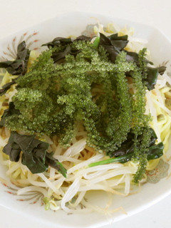 海ぶどういっぱい冷やし中華♪-レシピのメイン写真
