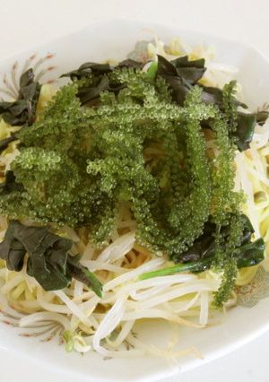 海ぶどういっぱい冷やし中華♪-レシピのメイン写真