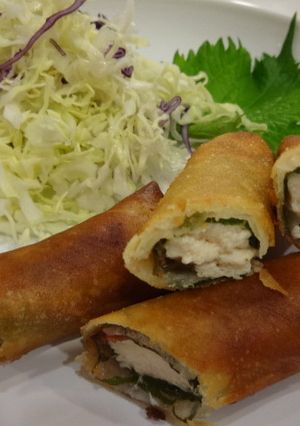 簡単！鶏ささみの春巻き-レシピのメイン写真