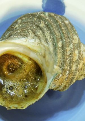 さざえのつぼ焼き　超簡単だよ-レシピのメイン写真