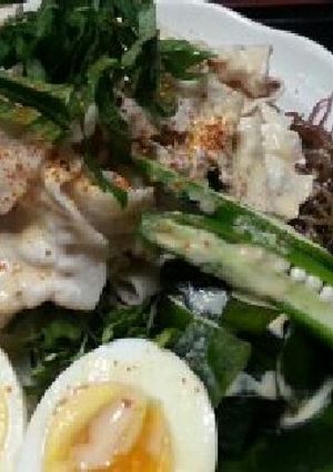 十三浜ワカメうどん ゴマだれ豚しゃぶ-レシピのメイン写真