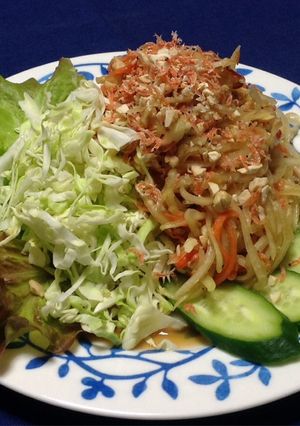 青パパイヤのサラダ-レシピのメイン写真