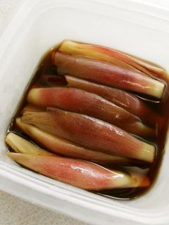 みょうがの麺つゆ漬け♪-レシピのメイン写真