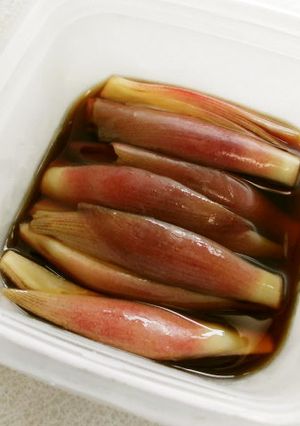 みょうがの麺つゆ漬け♪-レシピのメイン写真