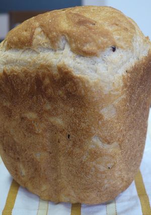 全粒粉とごはん入り食パン。（ＨＢ使用）-レシピのメイン写真